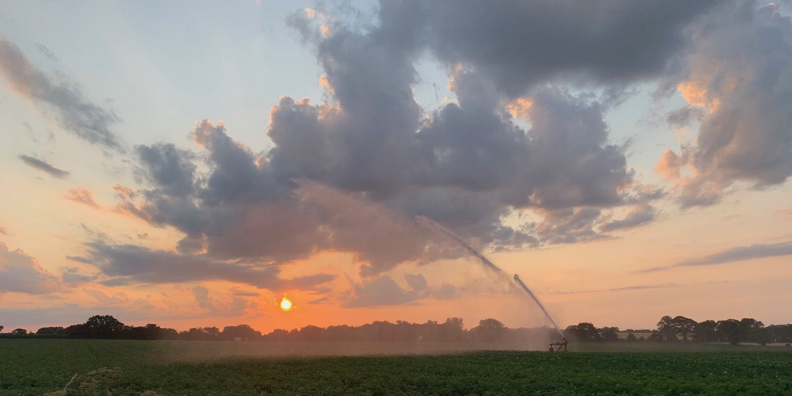 Sunset over the field across the road from the barn, with clouds, a sprinkler arc and the sun low on the horizon